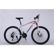 BEGASSO LEGEND MTB kerékpár
