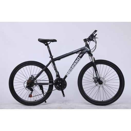 BEGASSO LEGEND MTB kerékpár