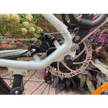 HOVSCO alacsony átlépésű e-bike, nyomaték szenzorral