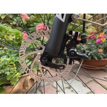 HOVSCO alacsony átlépésű e-bike, nyomaték szenzorral