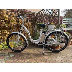 Eh Line e-bike