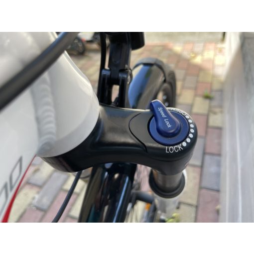 Újszerű Gepida Berig 1000 e-line Bosch motorral 