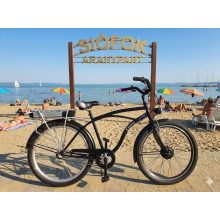 Bird E-CRUISER li-ion akkumulátorral