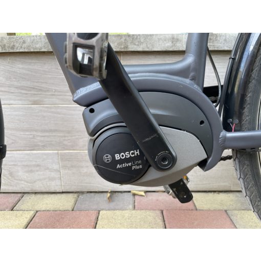 Gepida Reptila 1000 Nexus 7s L/28" túratrekking e-bike 2022