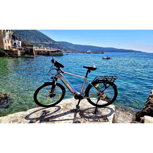 MS Energy C101 e-bike