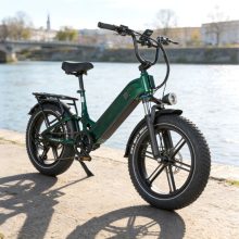 Bird Maxtron összteleszkópos elektromos Fat Bike