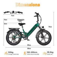 Bird Maxtron összteleszkópos elektromos Fat Bike