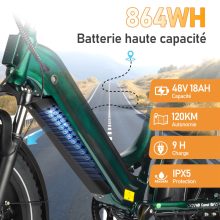 Bird Maxtron összteleszkópos elektromos Fat Bike