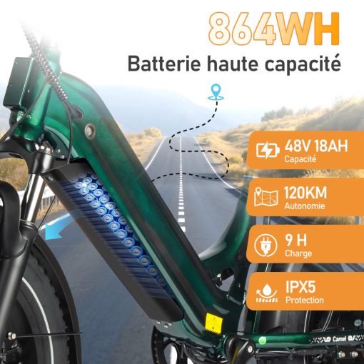 Bird Maxtron összteleszkópos elektromos Fat Bike