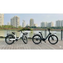 MS Energy Citizen C102 elektromos kerékpár "CSALÁDI DUPLA" AKCIÓ