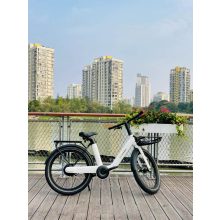 MS Energy Citizen C102 elektromos kerékpár "CSALÁDI DUPLA" AKCIÓ